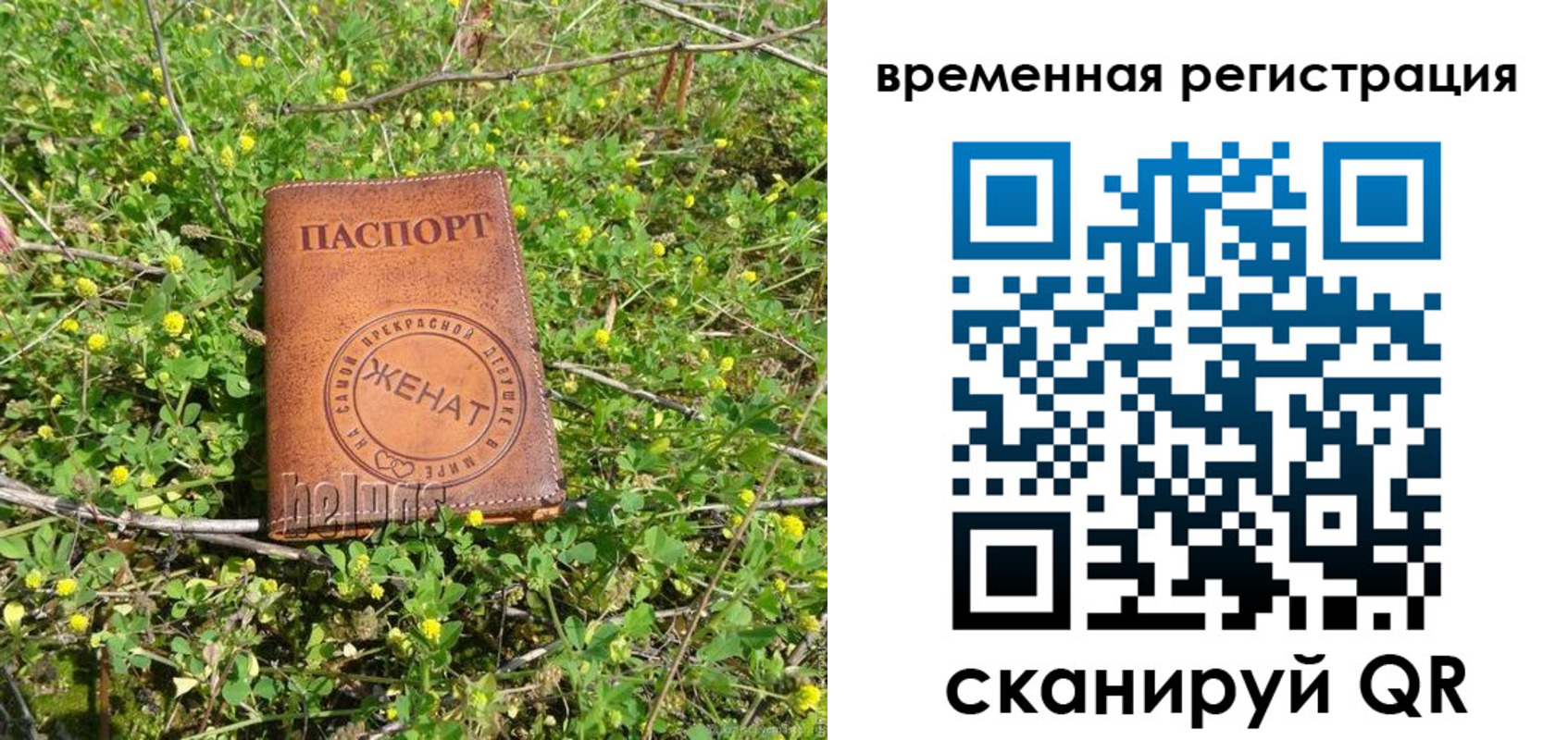 прописка регистрация в Змеиногорске